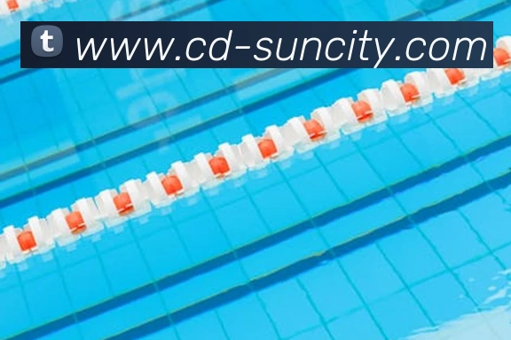 太阳城网站平台生态图