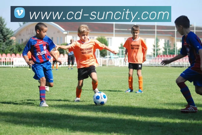 太阳城网站APP 封面图